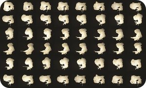 Exhibits with Scientists