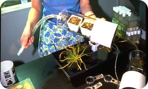 Carnivorous Contraption